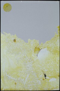 Figure 16: Leigh Ann Hallberg, Yellow Bile, from The Four Humours, oil and mixed media on polyester, 2003